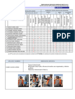 6.-Inspeccion - Epp - 2017 - 06