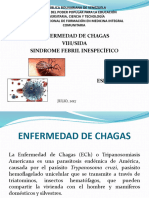 Presentacion Chagas