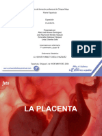 Diapositivas LA PLACENTA