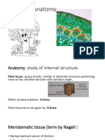 Plant Anatomy 2080