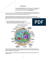 Cytology