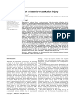 Carden 2000 - Pathophysiology of Ischemia-Reperfusion Injury