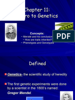 Chapter 11 Bio Notes - Genetics Intro