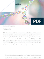 Dna Replication