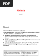 Meiosis 04072023