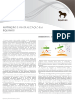 Nutrição e Mineralização em Equinos