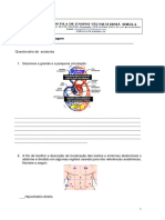 Questionário Anatomia