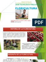 Floricultura PPT Daniel