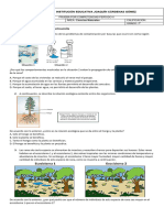 Acumulativa Ligeya 7° - Ciencias - Período 2