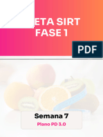 1 - Semana 7 - Estratégia Equilibrar - Dieta Sirt Fase 1