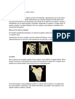 Trabajo Practico 5