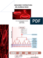 Estructura y Metabolismo Del GR 2021