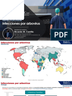 7-Dengue, Fiebre Amarilla, Sika y Chinkunguya