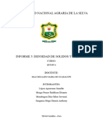 Informe Densidad - M-1