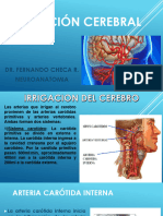 Irrigacion Cerebral