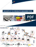 Valorisation Déchets Et Co-Produits MS v12-22