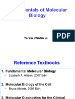 Lecture 3 Molecular Biology BASICS