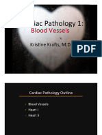 12 Cardiovascular Pathology I Color