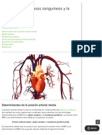 Fisiología de Los Vasos Sanguíneos y La Presión Arterial - Biblioteca Médica en Línea