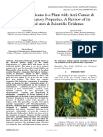 Argemone Mexicana Is A Plant With Anti-Cancer & Anti-Inflammatory Properties. A Review of Its Traditional Uses & Scientific Evidence