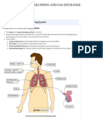 Breathing & Gas Exchange-Revision Notes