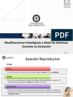 4 Obstetricia 1 Cambios Fisiologicos Del Embarazo