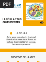 3 Unidad 2-LA CÉLULA Y SUS COMPONENTES