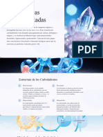 Biomoleculas Carbohidratadas