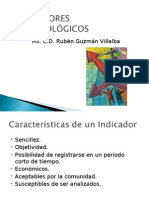 Indicadores Epidemiológicos