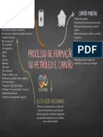 Processo de Formação Petróleo e Do Carvão