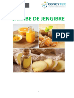 Experimento-Jarabe de Jengibre Prof. Gelia