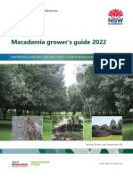 Macadamia Growers Guide Foundations