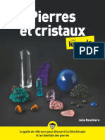 Pierres Et Cristaux Pour Les Nuls (Julia Boschiero) (Z-Library)