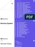 Chapter 7 Nervous System Video Course