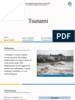 Tsunami (Group 1)