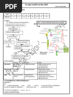 Corrigé Du Bac 2024 Sciences Naturelles Sadam