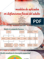 Marcos y Modelos de Aplicados en Disfunciones Físicas Del Adulto