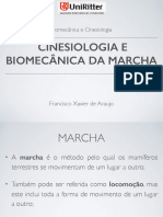 AULA 14 - Cinesiologia e Biomecânica Da Marcha