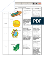 Organelos Celulares