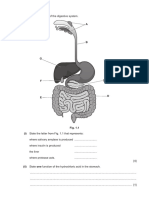 1 (A) Fig. 1.1 Is A Diagram of The Digestive System. A: © UCLES 2023