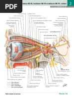 Nerfs Oculo-Moteur (NC III), Trochléaire (NC IV) Et Abducens (NC VI) Schéma