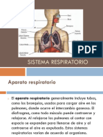 Sistema Respiratorio