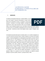 Protocolo de Acción en El Caso de Desregulación Emocional y Conductual