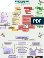 TAREA Mapa Conceptual-Moléculas Órganicas