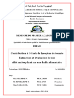 Memoire Complet PDF