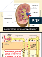 P2. Diuréticos