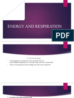 Energy and Respiration - A Level