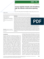 Abscisic Acid and Sucrose Regulate Tomato and Strawberry Fruit