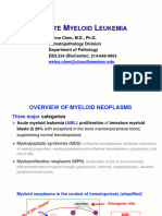 34b Myeloid Neoplasms (Chen)