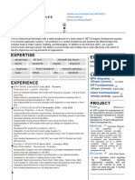 Shahzad Ali .NET Developer PDF